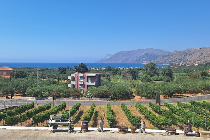 Monastery, Elafonissi and Winery Tour from Chania - Who will get the most from this tour