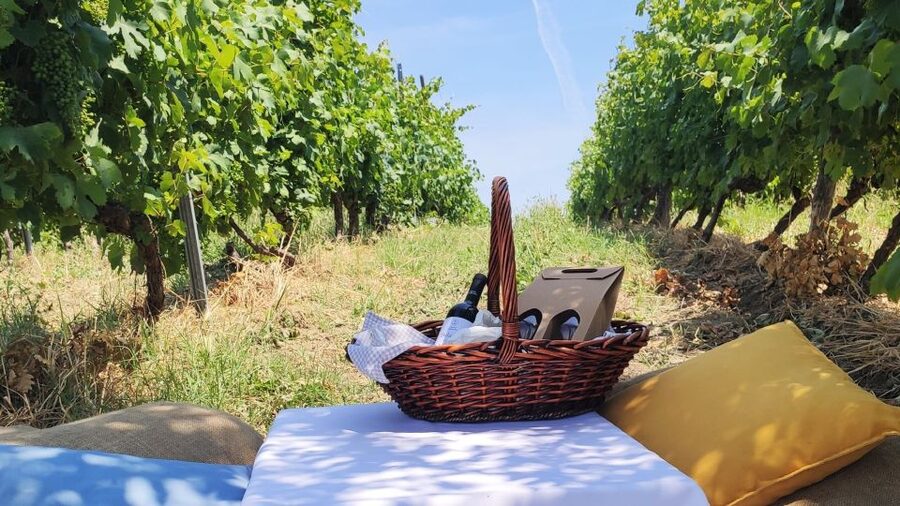 Monferrato: Garetto Wine Estate Tour and Picnic Private - Key points at a glance