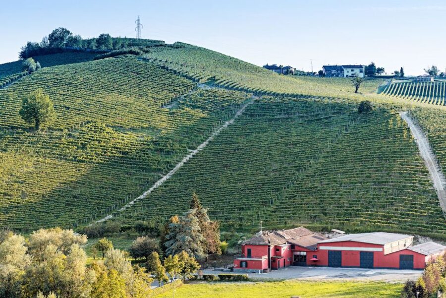 Monferrato: Garetto Wine Estate Tour and Picnic Private - Is $65 per person good value?