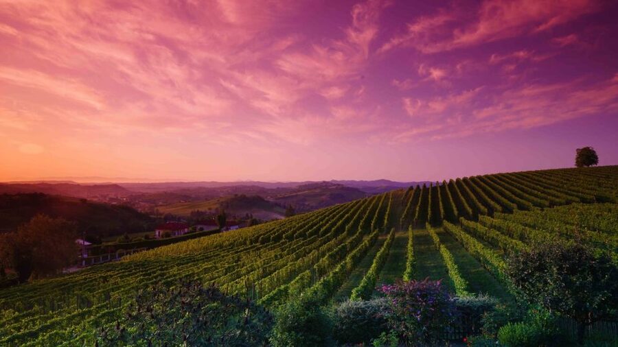 Monferrato: Garetto Wine Estate Tour and Picnic Private - Who will enjoy this estate visit most?