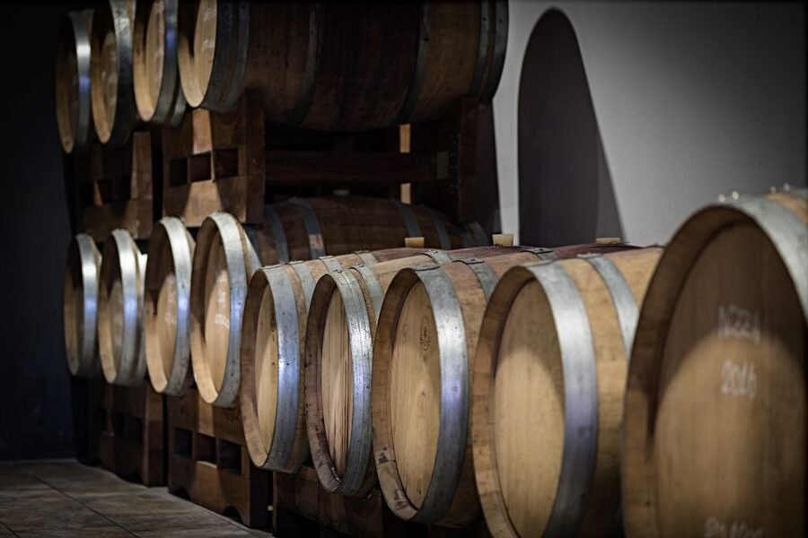 Monferrato: Wine Tour & Picnic in the Vineyards - Key details before you book