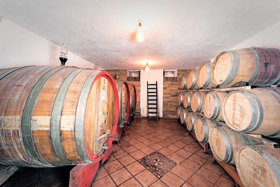 Monferrato: Wine Tour & Picnic in the Vineyards - Who will enjoy this experience most?