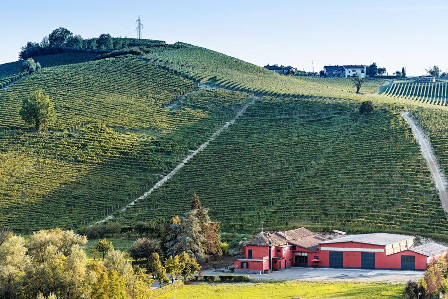 Monferrato: Wine Tour & Picnic in the Vineyards - Practical advice for a smooth visit