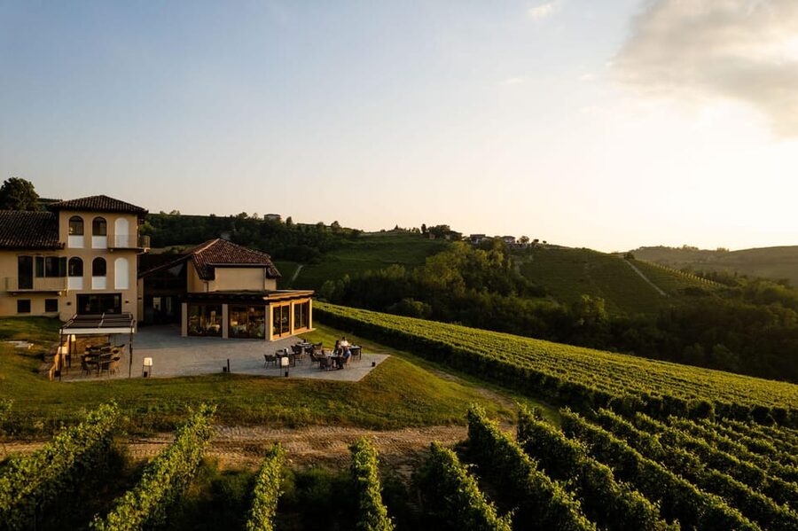 Monforte d'Alba: Barolo Tasting, Vineyard & Cellar Visit - Key points to know before you book