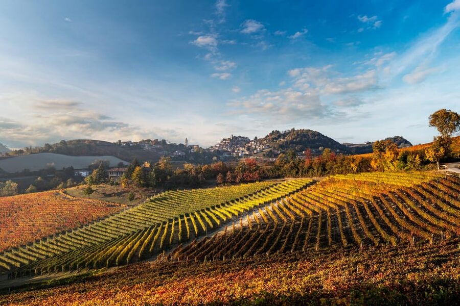 Monforte d'Alba in Langhe: Unforgettable Winery Tasting - Why the $38 price makes sense
