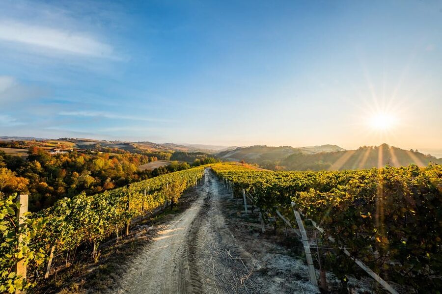 Monforte d'Alba in Langhe: Unforgettable Winery Tasting - Buying bottles after the tasting