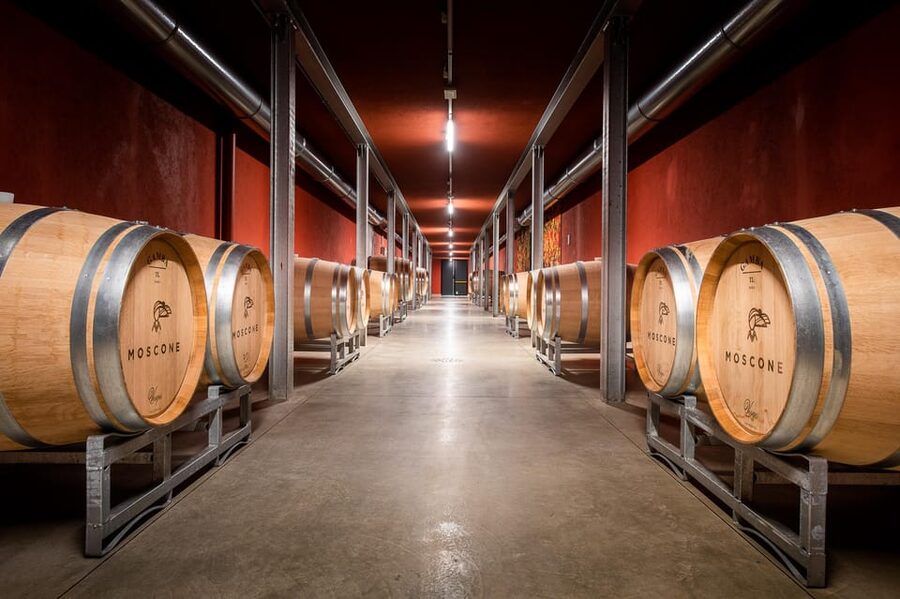 Monforte d'Alba in Langhe: Unforgettable Winery Tasting - Who will enjoy this winery visit most