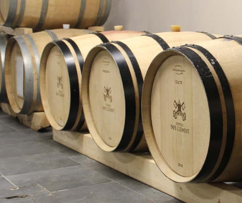 Monforte d'Alba: Wine Tasting, Cellar Visit, and Vineyard Tour - Walking through 19 hectares of organic vineyards