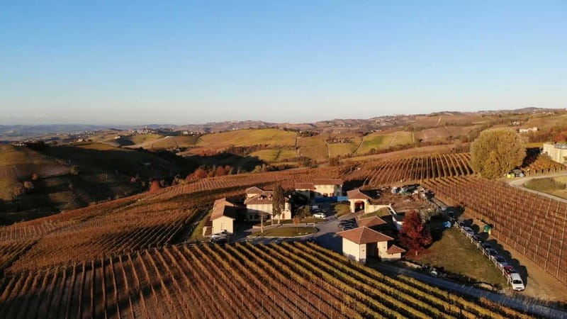 Monforte d'Alba: Wine Tasting, Cellar Visit, and Vineyard Tour - Tasting Nebbiolo, Barbera, and Chardonnay