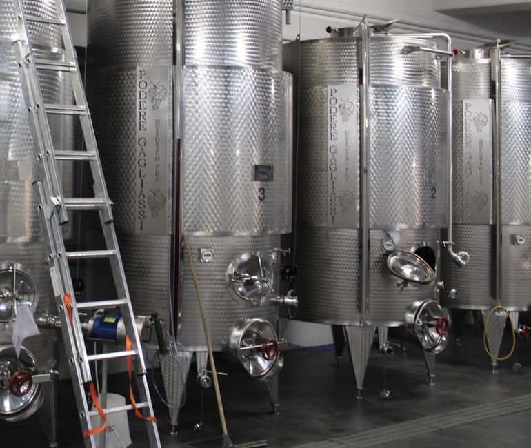 Monforte d'Alba: Wine Tasting, Cellar Visit, and Vineyard Tour - Entering the underground cellar