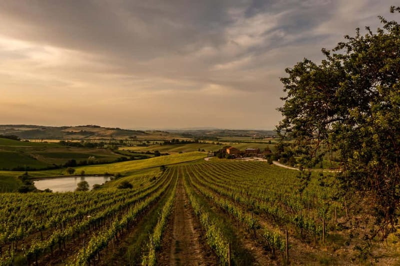 MONTALCINO : Brunello Wine Tasting with Winery Tour - The Countryside Setting Adds Real Value