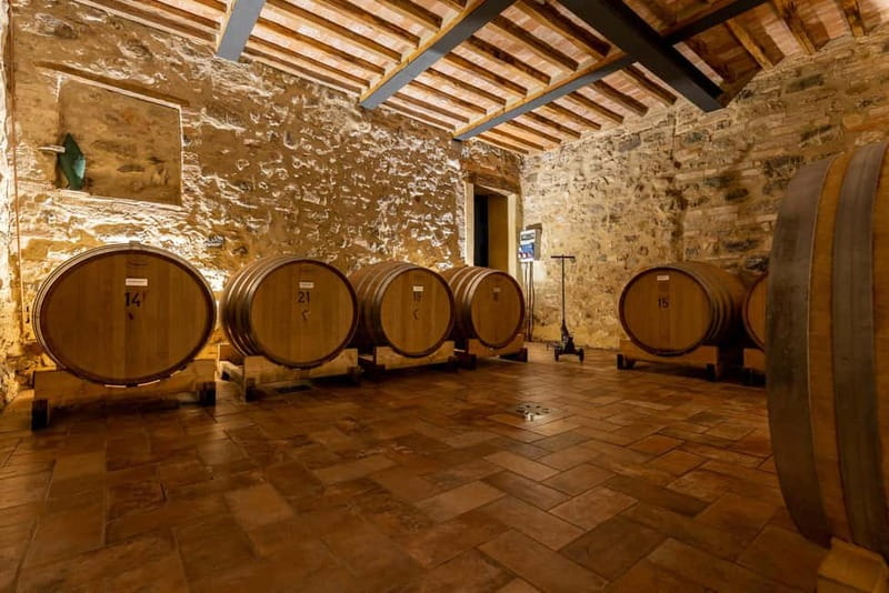 MONTALCINO : Brunello Wine Tasting with Winery Tour - Who Will Enjoy Wine Resort Colsereno Most?