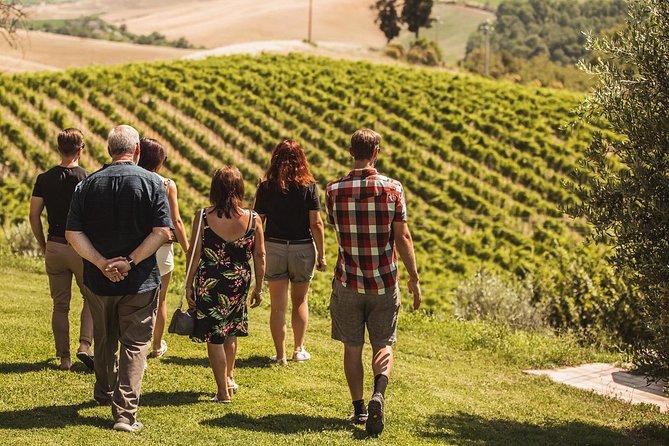 Montalcino: Castle and Vineyards Tour with Tasting - Walking the castle walls and historic courtyards