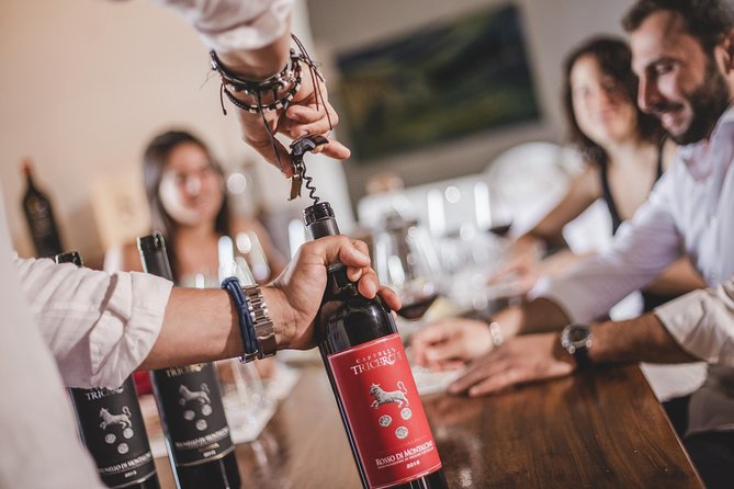 Montalcino: Castle and Vineyards Tour with Tasting - Who should book this Montalcino tour