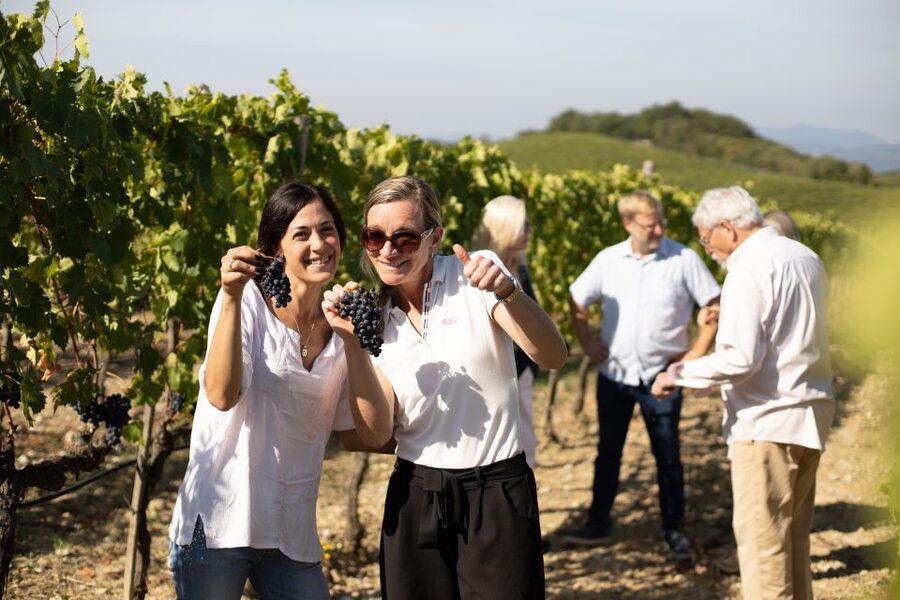Montalcino: Guided Winery Tour and Wine Tasting - Why Corte Pavone is a good place to learn Brunello