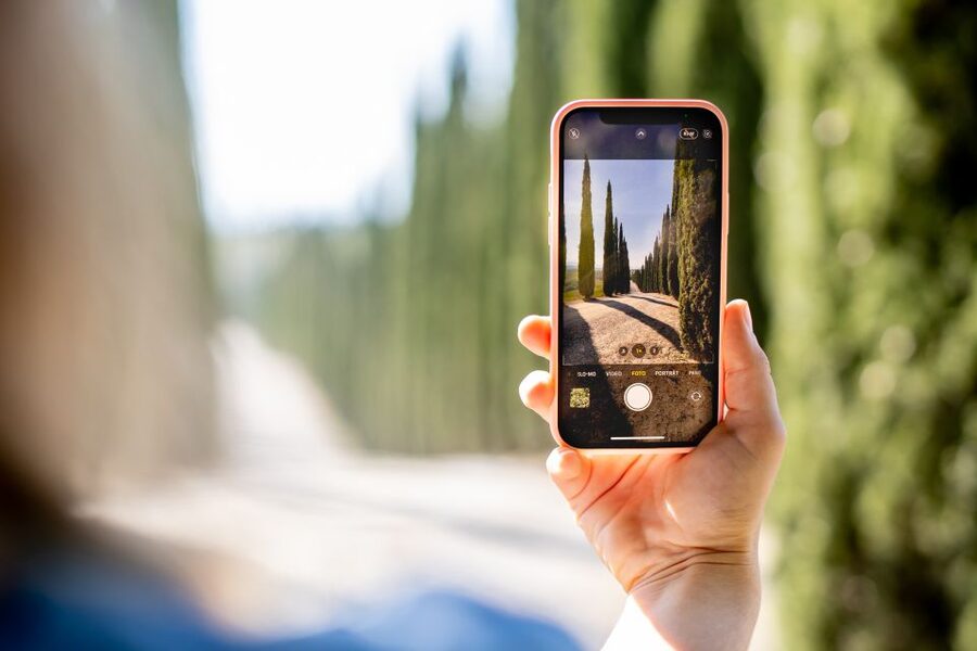Montalcino: Guided Winery Tour and Wine Tasting - What the guide adds to the experience