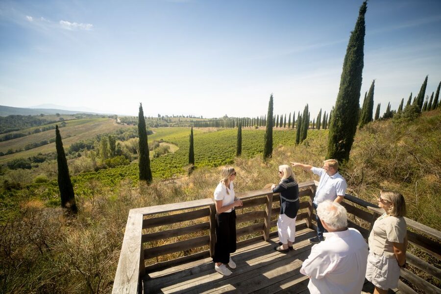 Montalcino: Guided Winery Tour and Wine Tasting - The vineyard walk puts terroir under your feet