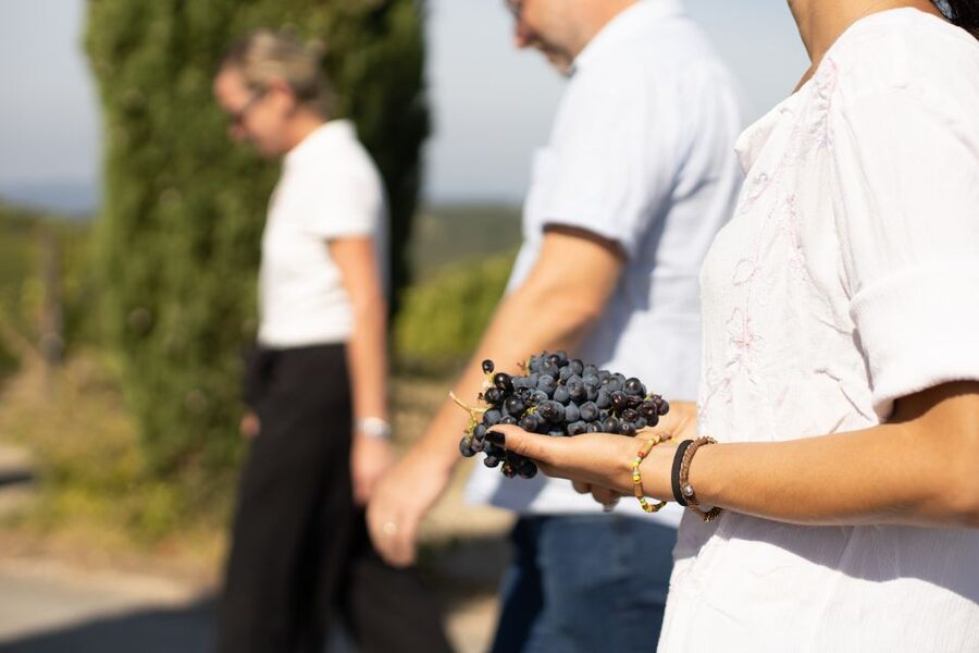 Montalcino: Guided Winery Tour & Gourmet Food Tasting - Three flights and six gourmet bites