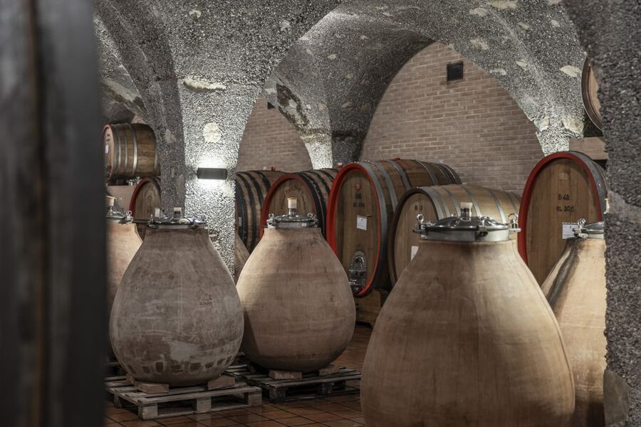 Montalcino: Guided Winery Tour & Gourmet Food Tasting - Choosing the six Brunelli flight