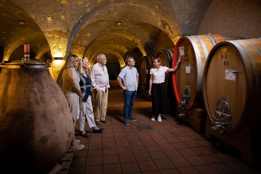 Montalcino: Guided Winery Tour & Gourmet Food Tasting - Choosing the broader Corte Pavone tasting