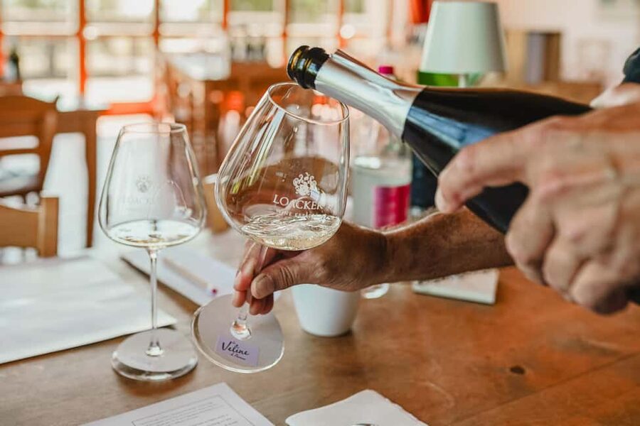 Montalcino: Guided Winery Tour & Gourmet Food Tasting - What makes the biodynamic approach worth learning