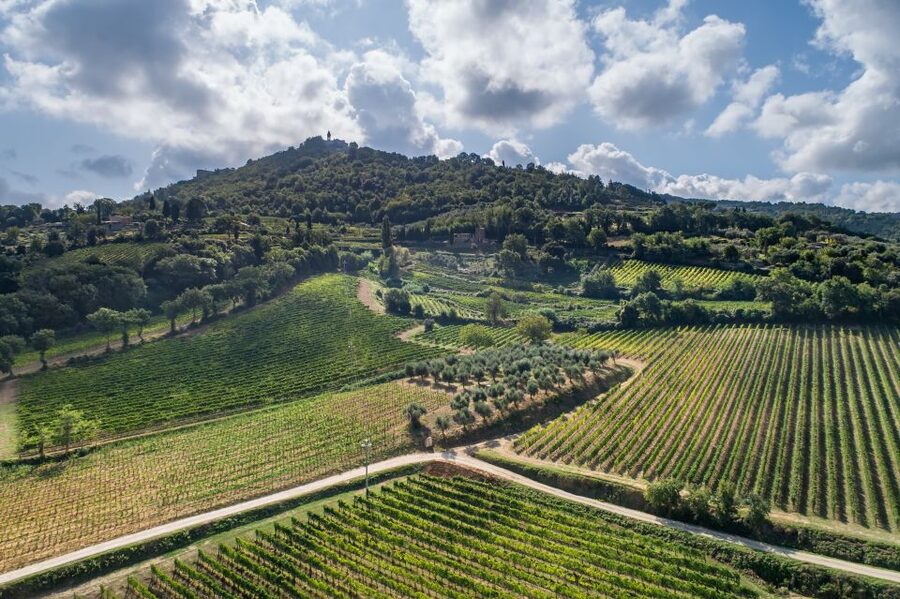 Montalcino: Private Cellar Tour, Wine Tasting & Appetizers - Key points at a glance