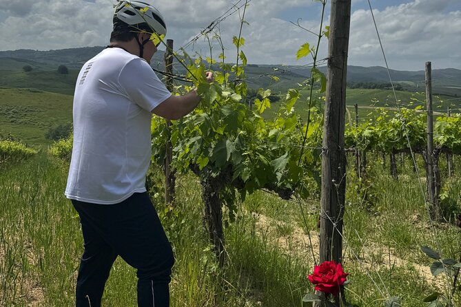 MONTALCINO Private E-Bike & Brunello Winery Experience - Who should book this Montalcino experience