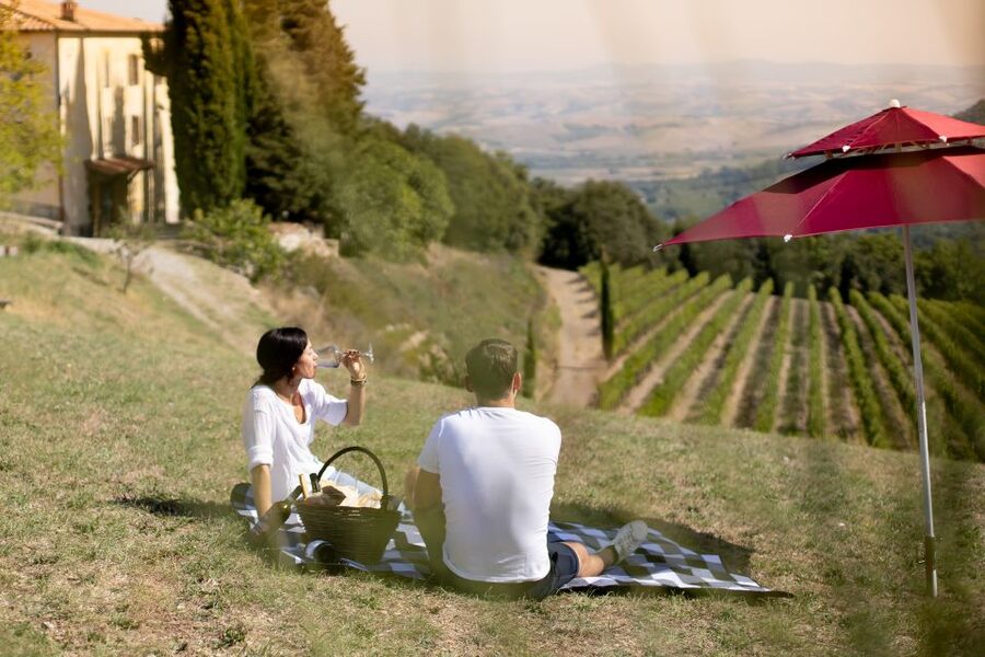 Montalcino: Vineyard Picnic with a Bottle of Wine - A vineyard picnic made for slow Tuscan afternoons