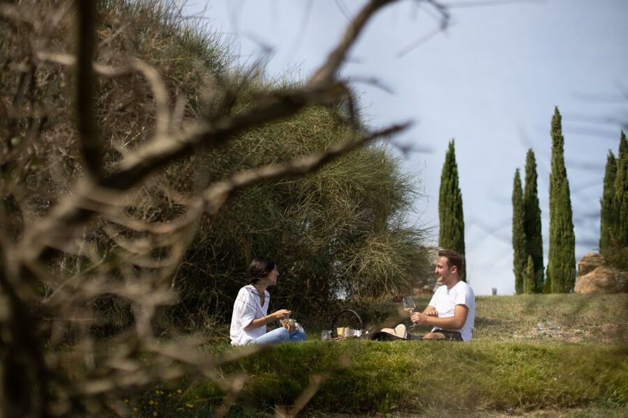 Montalcino: Vineyard Picnic with a Bottle of Wine - The optional one-hour tour through vines and cellar