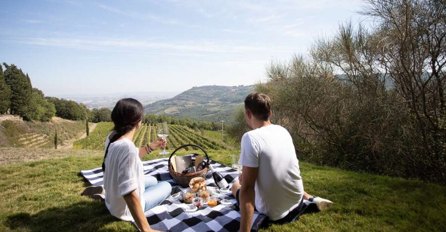 Montalcino: Vineyard Picnic with a Bottle of Wine - A practical choice for a private group