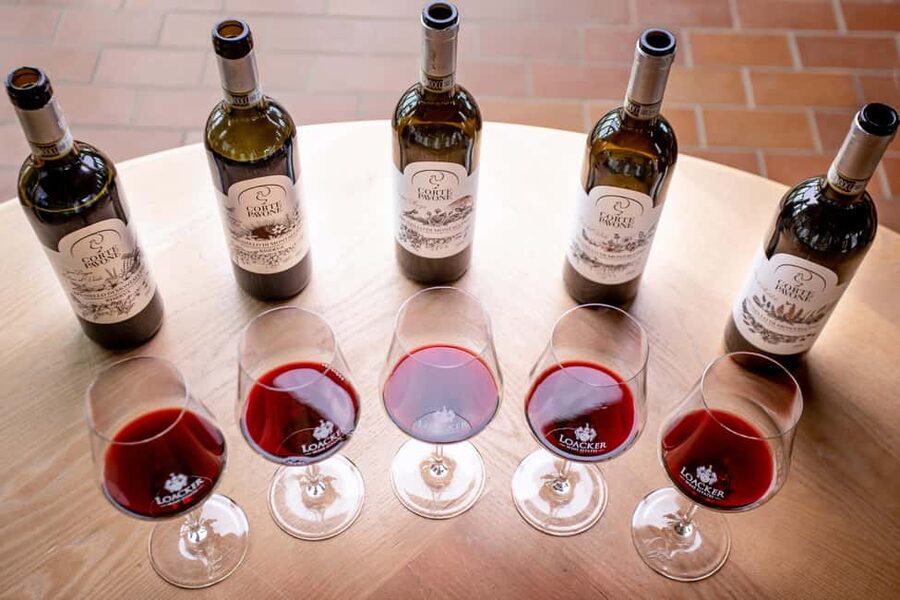 Montalcino: Winery Tour & Gourmet Brunello Vertical Tasting - Why a Brunello vertical tasting matters