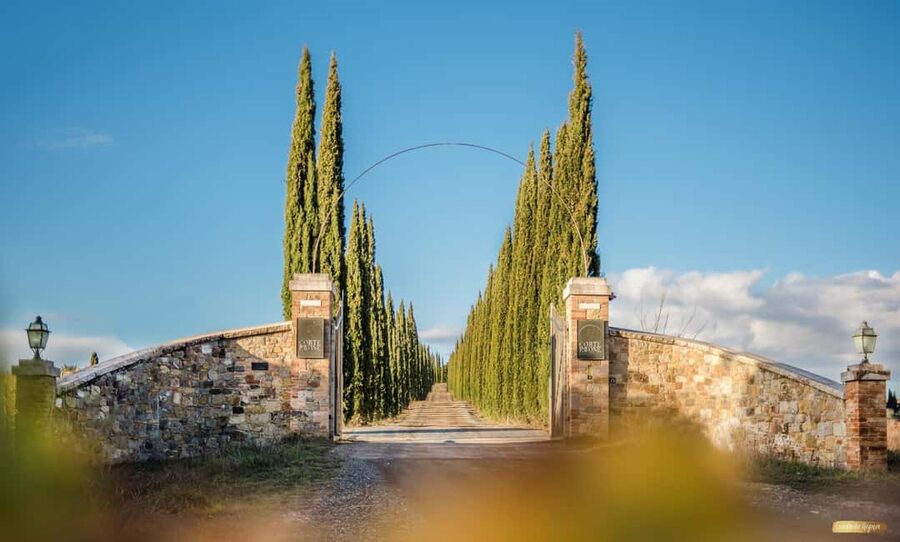 Montalcino: Winery Tour & Gourmet Brunello Vertical Tasting - Four gourmet bites, not just four glasses