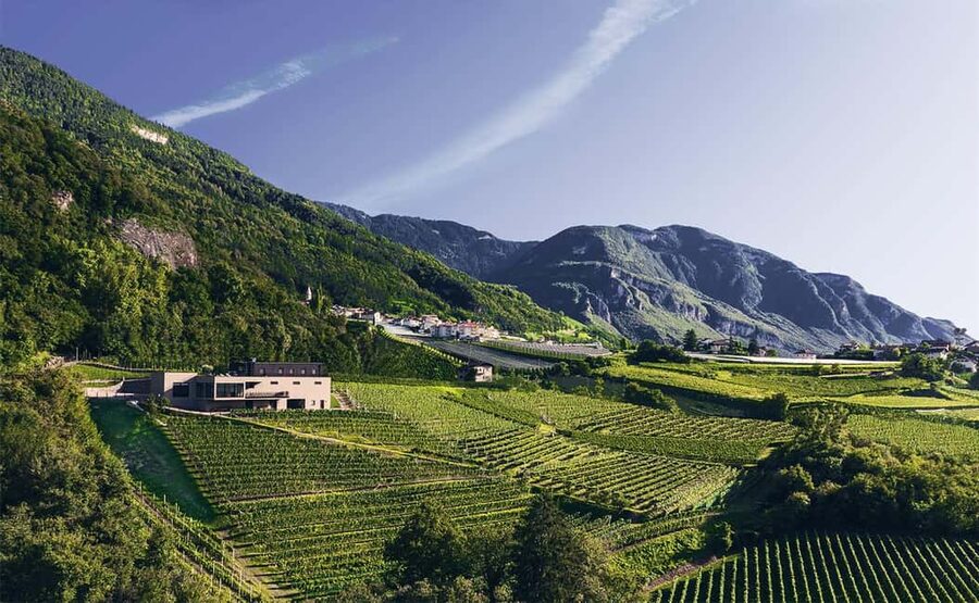 Montan: Cellar tour and wine tasting, Pfitscher - Starting among Montan’s vineyards