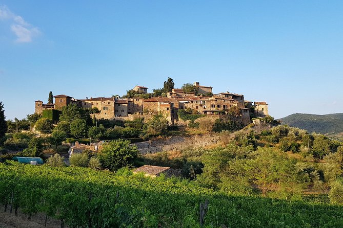 Montefioralle Winery - Tour and Wine Tasting in Chianti - The Family Touch Makes the Difference