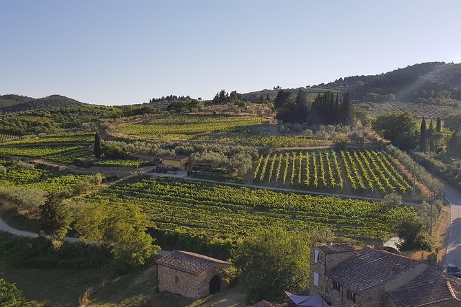 Montefioralle Winery - Tour and Wine Tasting in Chianti - The Four Wines You Taste