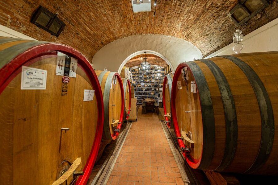 Montepulciano: Guided Winery Tour with Tasting & Appetizers - Key points to know before booking