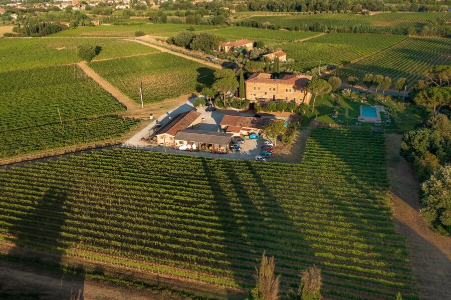 Montepulciano: Guided Winery Tour with Tasting & Appetizers - Tasting four expressions of Sangiovese