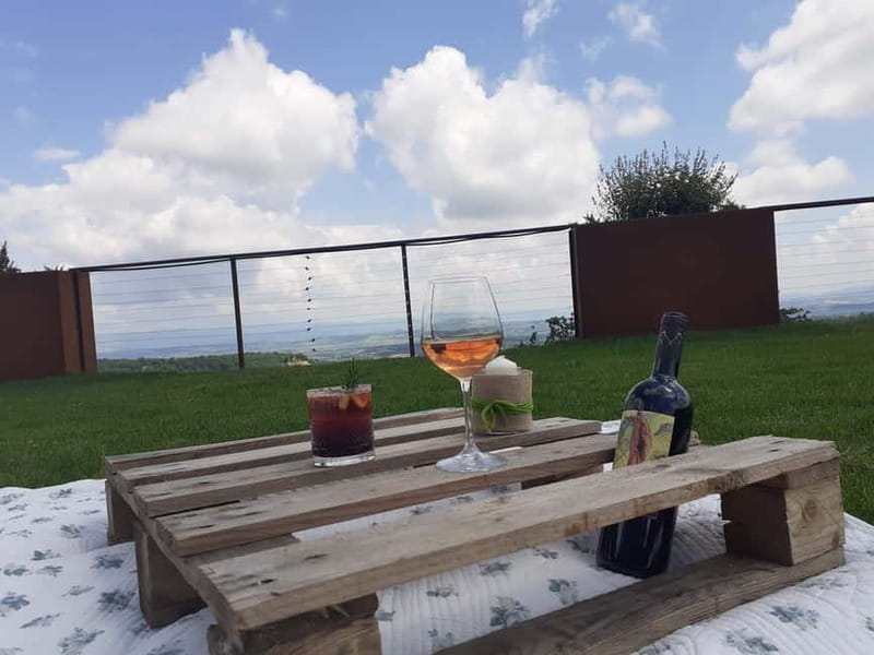 MONTEPULCIANO - PIC NIC WITH WINE! SURROUNDED BY VINEYARDS - Arriving at Podere della Bruciata near Montepulciano