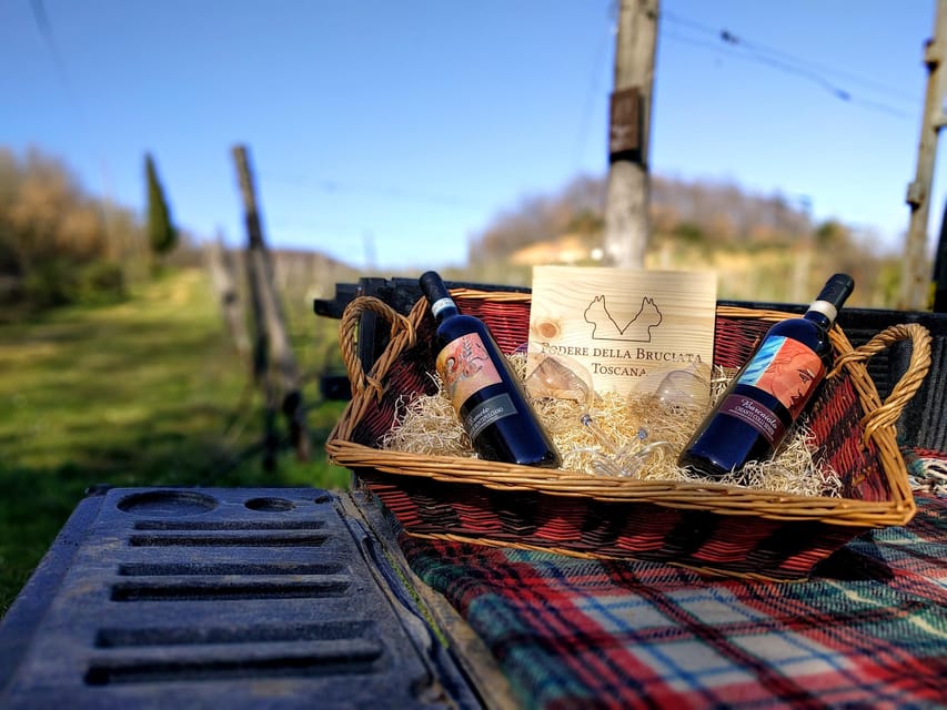 MONTEPULCIANO - PIC NIC WITH WINE! SURROUNDED BY VINEYARDS - Why the Valdichiana view matters