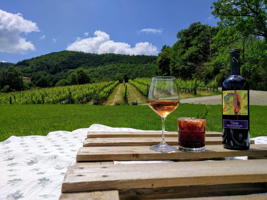 MONTEPULCIANO - PIC NIC WITH WINE! SURROUNDED BY VINEYARDS - Practical planning for the 90-minute visit