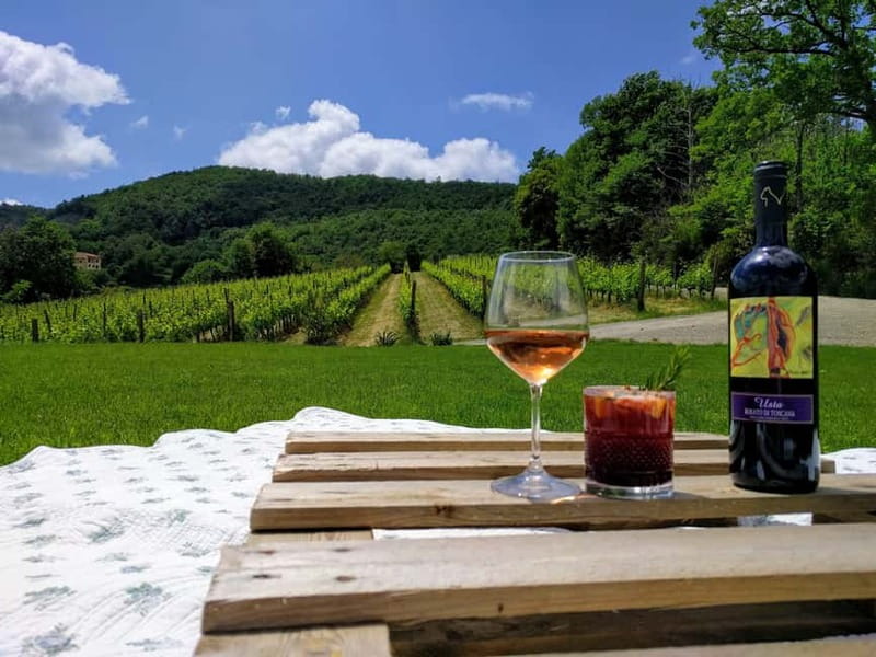 MONTEPULCIANO - PIC NIC WITH WINE! SURROUNDED BY VINEYARDS - Walking the Sangiovese vines before the tasting