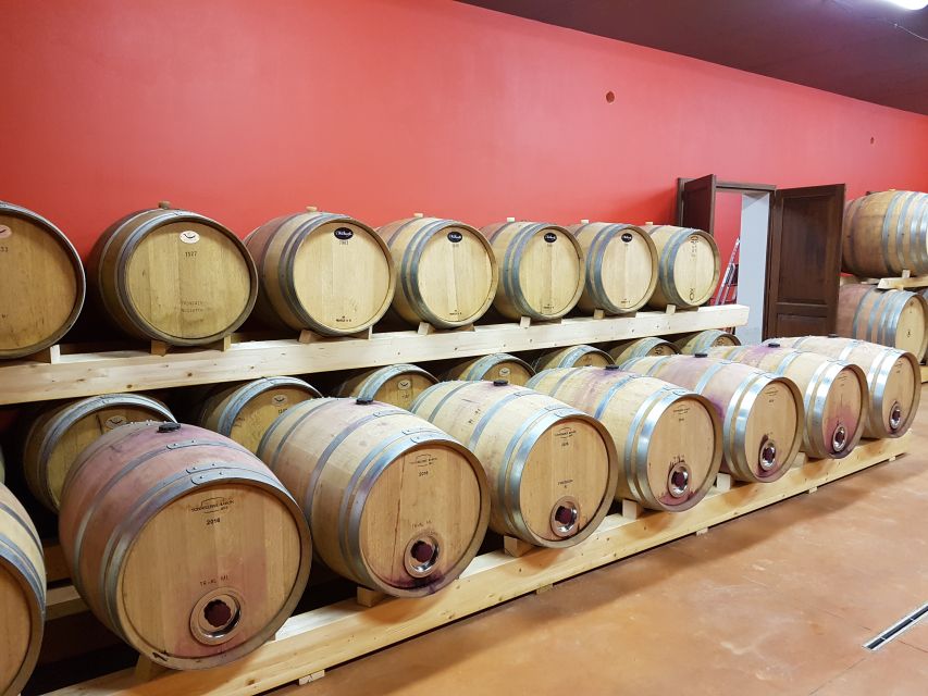 Montepulciano: Tuscan Winery Tour with Wine Tasting & Meal - From the cellar to a table between the vines
