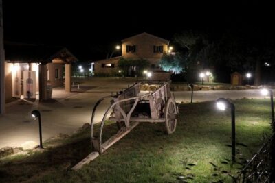 Tuscan Winery Tour with Wine Tasting & Meal
