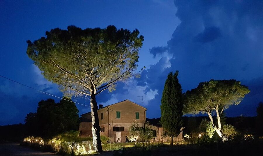Montepulciano: Tuscan Winery Tour with Wine Tasting & Meal - The guides make a real difference