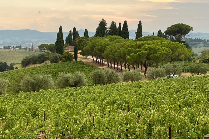Montepulciano Vineyards Wine Tour with 3 Estates Visit - Lunch at Villa S. Anna is more than a meal break