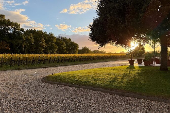 Montepulciano Vineyards Wine Tour with 3 Estates Visit - Who should book this Montepulciano wine tour?