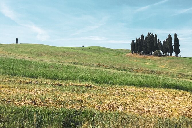 Montepulciano Vineyards Wine Tour with 3 Estates Visit - Important booking details before you commit