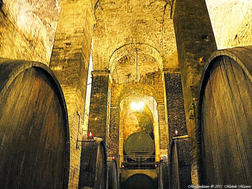 Montepulciano: Wine Tasting and Cellar Tour - Key points to know