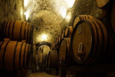 Wine Tasting and Cellar Tour