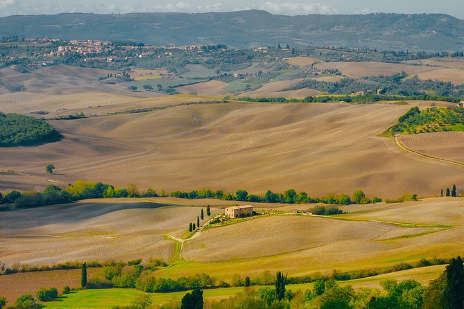 Montepulciano: Wine Tasting & Lunch in a Typical Winery - Key points to know before booking
